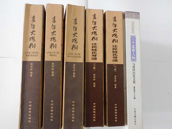 專(zhuān)業(yè)修譜公司
