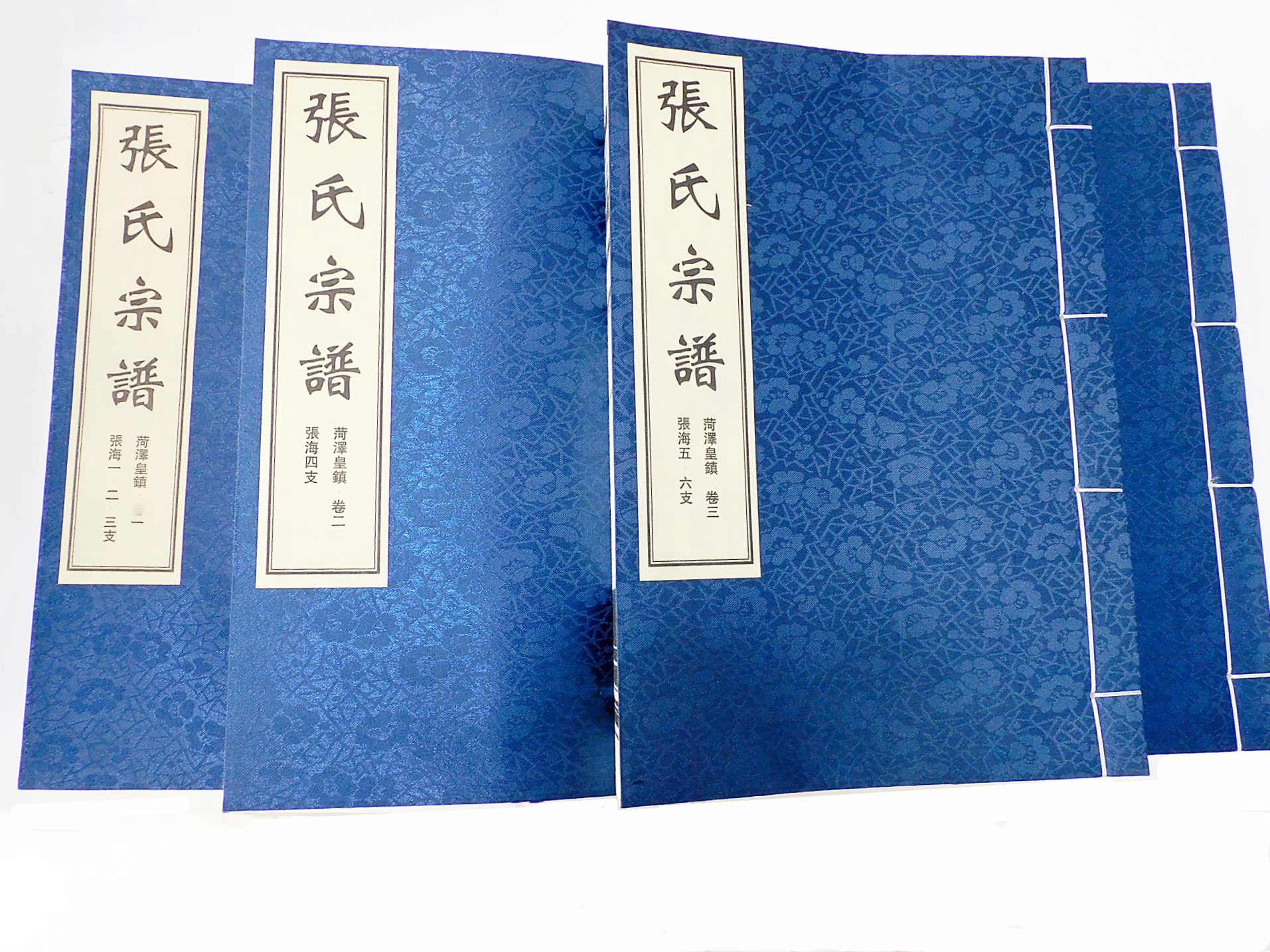 菏澤皇鎮(zhèn)張氏家譜